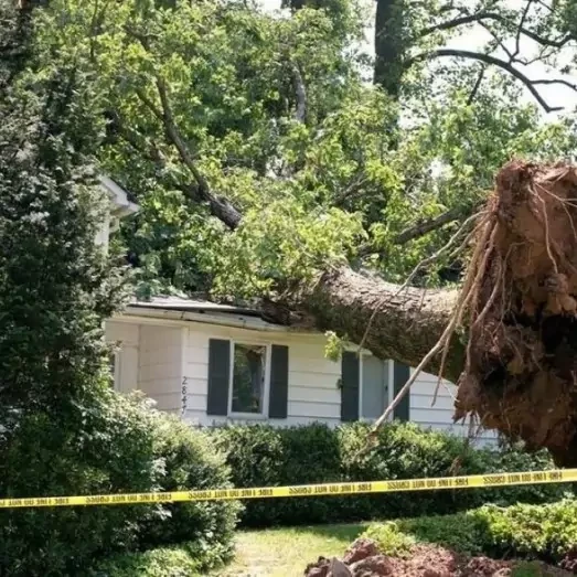 Storm Damage Repair Services in Houston, TX